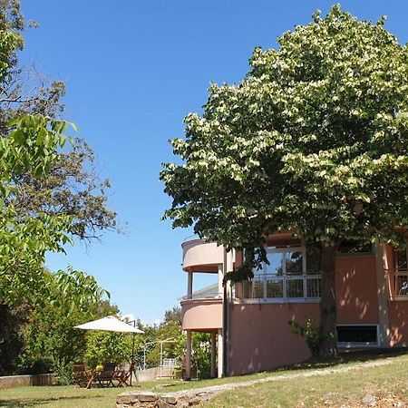 Apartments Seafront Villa プーラ エクステリア 写真